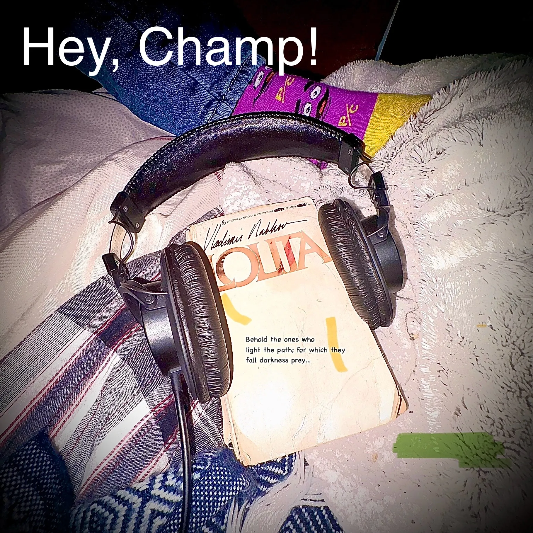 a pair headphones placed around a book.